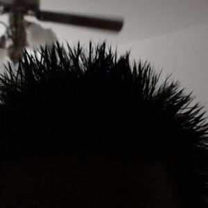 Meet your Posher, Simon